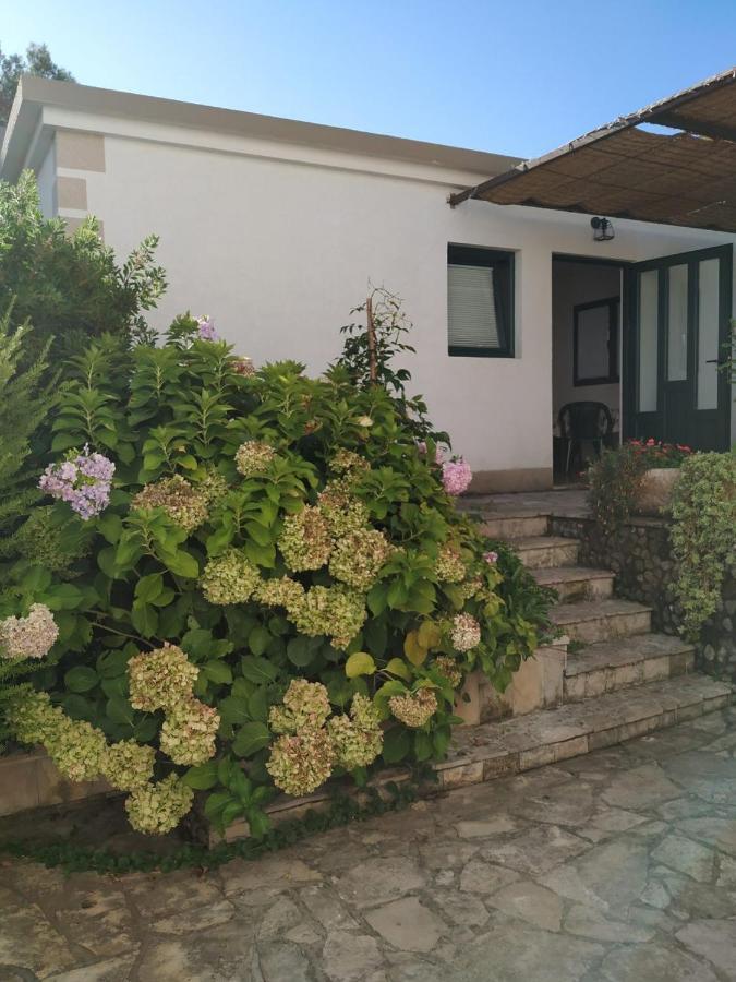 Kjara Apartments 티바트 외부 사진